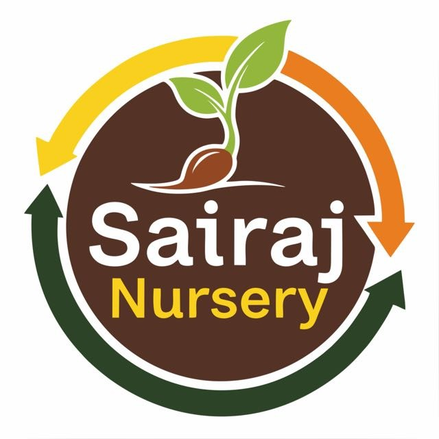 Sairaj Nursery